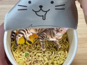 in places you never imagined. 1/16