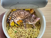 in places you never imagined. 11/16