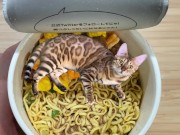 in places you never imagined. 12/16