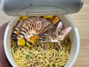 in places you never imagined. 14/16