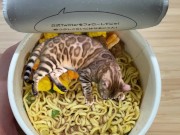 in places you never imagined. 15/16