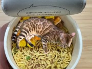 in places you never imagined. 16/16