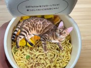 in places you never imagined. 2/16