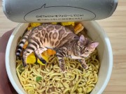 in places you never imagined. 3/16