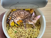 in places you never imagined. 5/16