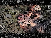 outdoor smothering 2/16