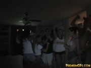 Party Babe blowjob Slut 1/16