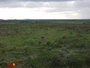 Pandemic Porn in a Stunning Place in Brazil - Dread Hot 1/16