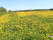 Минет от горячей девушки в поле с одуванчиками 1/16