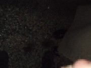 人気夜景スポットで女子大生の彼女にフェラ抜きされる/日本人/素人/個人撮影/野外/主観/女子大生 - Screenshot 15 of 16 - Schoolgirl