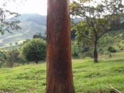 UNA RICA  FOLLADA  EN UN DÍA DE CAMPO 1/16