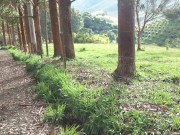 UNA RICA  FOLLADA  EN UN DÍA DE CAMPO 2/16