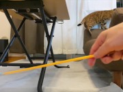 gets very excited when her favorite toy is brought out ........ 6/16