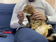 Making feel good  14/16