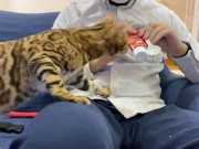 Making feel good  16/16