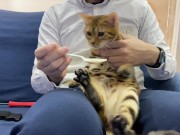 Making feel good  4/16