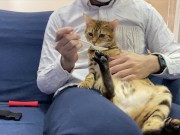 Making feel good  6/16