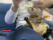 Making feel good  7/16