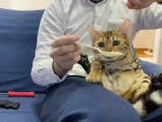 Making feel good  8/16