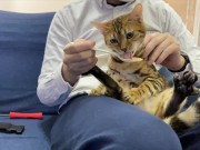 Making feel good  9/16