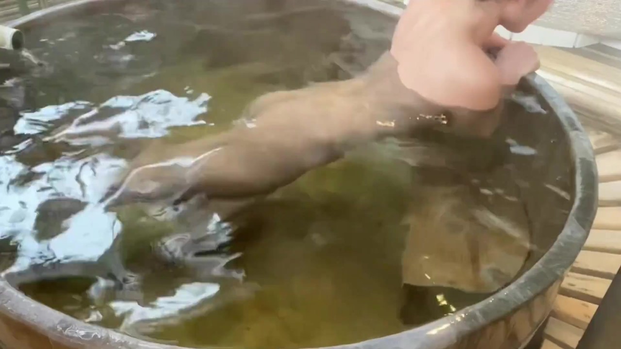 Tokura Onsen Travel Special - Free Sex Video - RedTube