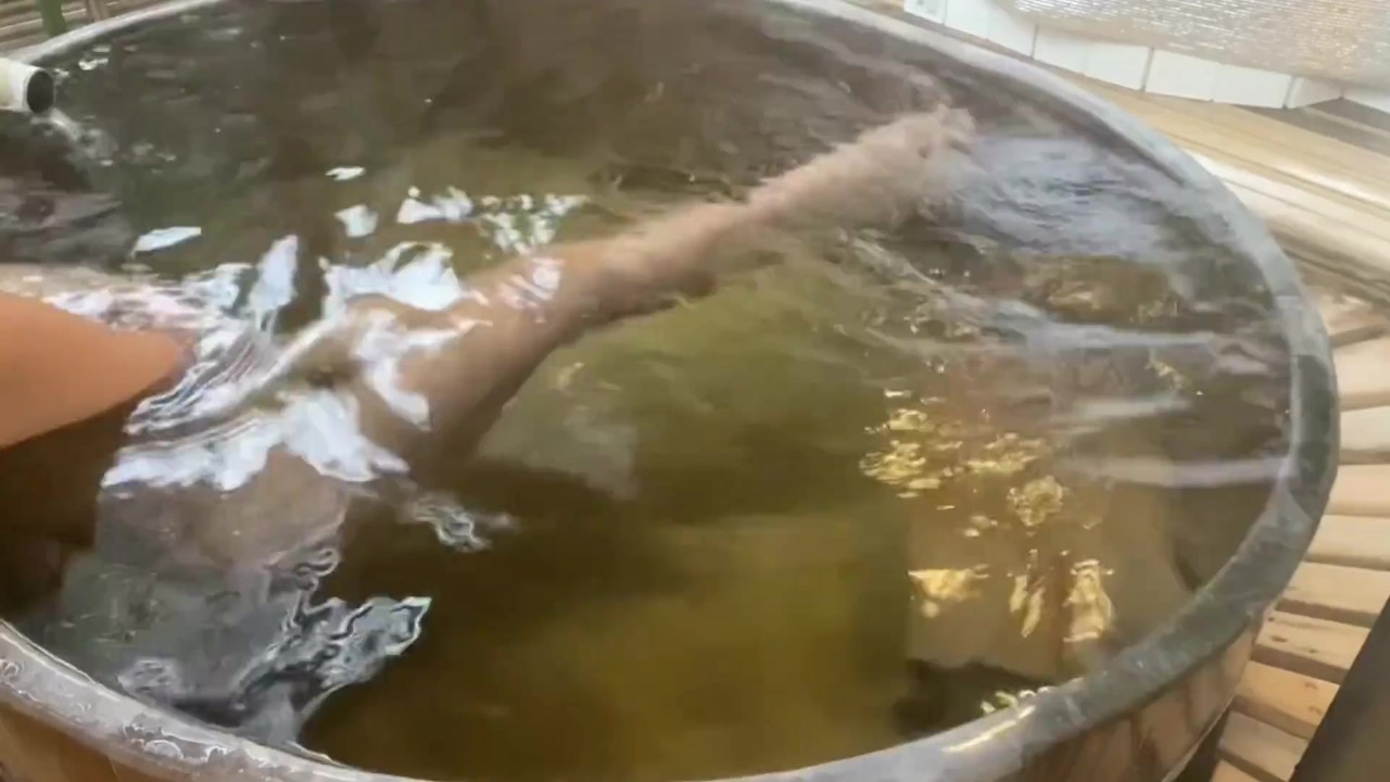 Tokura Onsen Travel Special - Free Sex Video - RedTube