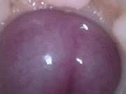 Super cum in vagina. Excellent internal camera 12/16