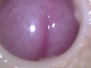 Super cum in vagina. Excellent internal camera 2/16