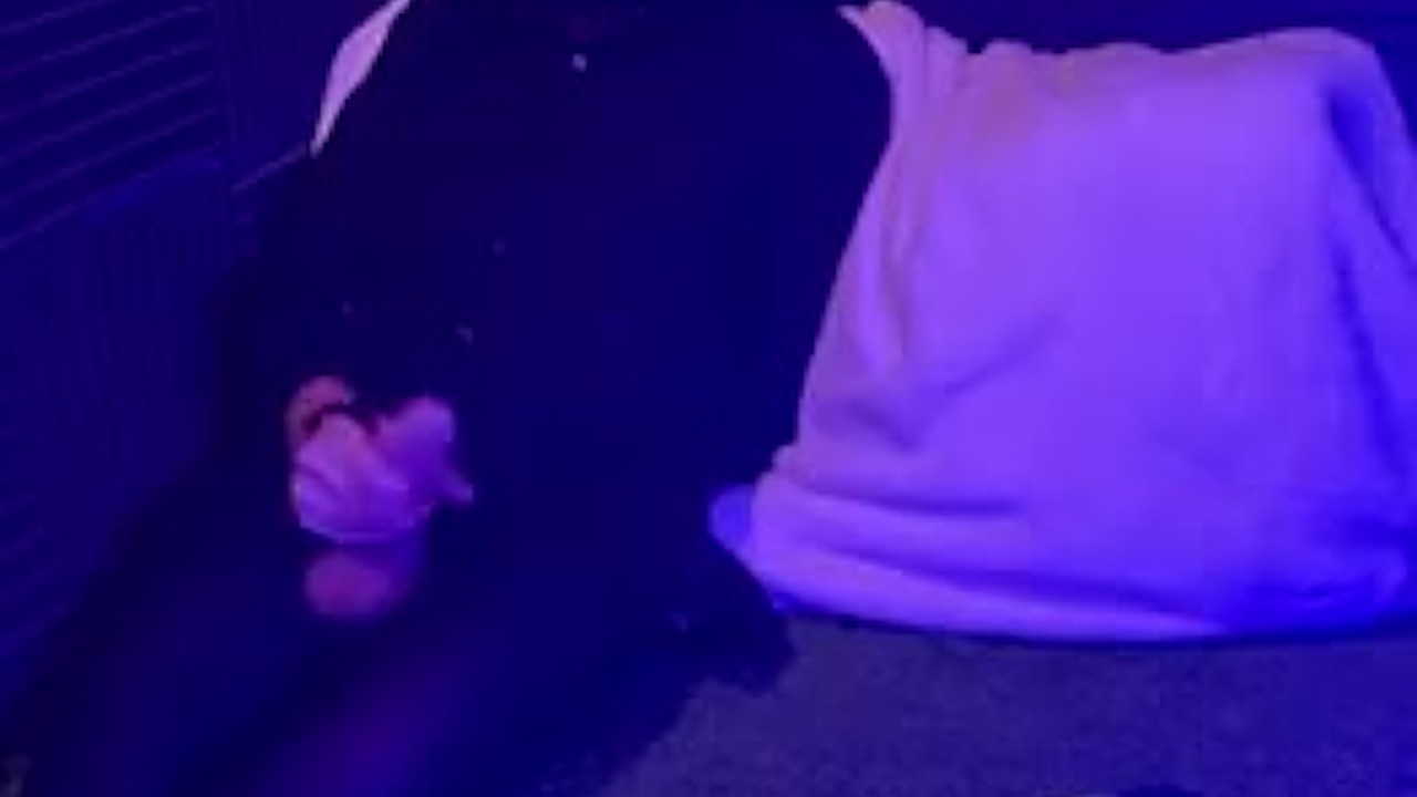 Femboyソロ練習(クロス😉) - 無料セックスビデオ - RedTube