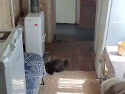 Weekend leisure 3/16