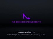 cookie crumbling 16/16