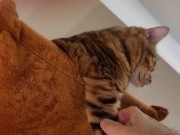 Normally gets excited  16/16