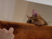 Normally gets excited  3/16