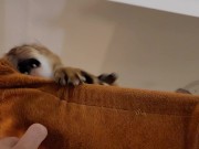 Normally gets excited  4/16