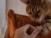 Normally gets excited 