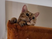 Normally gets excited  8/16