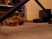 The roommate of her dreams 3/16