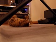 The roommate of her dreams 4/16