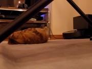 The roommate of her dreams 5/16