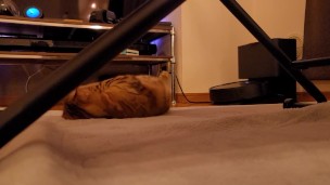 The roommate of her dreams