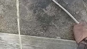 Peeing after a night of drinking 