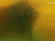 Swimming pool erotics in cute fishnets 8/16