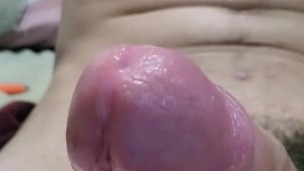 Dripping Bouncing Boner