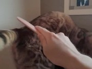 A Compilation of That Get You Excited 10/16