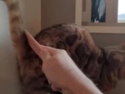 A Compilation of That Get You Excited 11/16