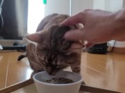 A Compilation of That Get You Excited 12/16