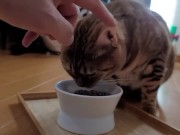 A Compilation of That Get You Excited 14/16