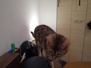 A Compilation of That Get You Excited 16/16