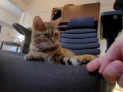 A Compilation of That Get You Excited 2/16