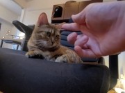 A Compilation of That Get You Excited 3/16